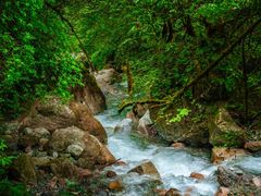 -西岭雪山大飞水景区