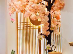 -猫小主咖啡·猫咖cat cafe(福田店)
