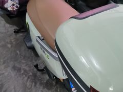 -绿源电动车(普陀专卖店)