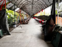 -天下先生态园农庄CS团建露营地(海鸥岛店)