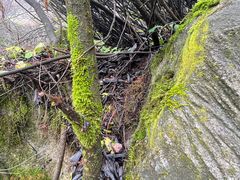 -秦岭终南山世界地质公园翠华山景区