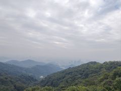 -点都德(广州白云山景区南门店)