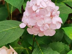 -常州古运河南大街文化旅游区-人民公园