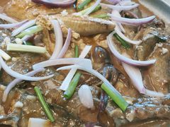 -赶海部落海鲜城(海阳路店)