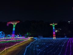 -广西壮族自治区药用植物园