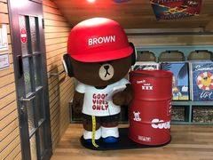 -line friends(明洞旗舰店)