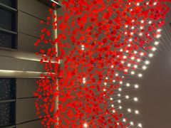 -嘉定凯悦·咖啡厅