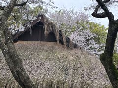 -中国茶叶博物馆(双峰馆区)