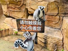 -北京野生动物园