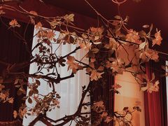 -俏江南天津时尚曲艺主题餐厅(马场道店)