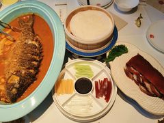 -阿五黄河大鲤鱼(纬三路店)