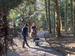 -天目山大树王景区
