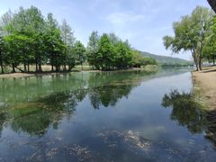 -长广溪湿地公园