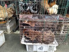 -永汉农贸综合市场