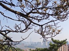 -北岭山森林公园