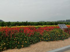 -银川河东国际机场