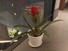 -百富源·海鲜辽菜(和平北大街店)