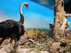 -国家自然博物馆