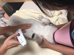 -谐和贝康宠物医院24小时·宠保定点(急重症转诊中心)
