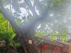 -土城古镇