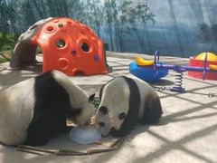 -鄂尔多斯野生动物园