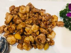 -丁老爷子苏香圆