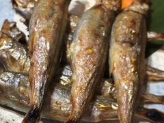 盐烤多春鱼-文三酒肆自助放题(新街口友谊广场店)