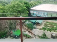 -上海佘山世茂艾美酒店