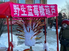 -北极村旅游风景区