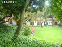 -鼓浪屿钢琴博物馆