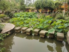 -洪湖家庭农场·团建·露营·会议
