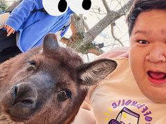 -费瑟代尔野生动物园