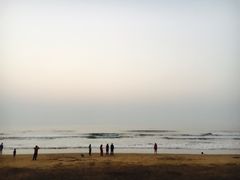 -日照海滨国家森林公园