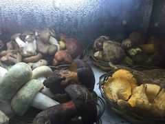 iphone_upload_pic-江川野生菌火锅铜锅鱼(贵清火锅店)