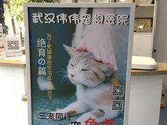 -伟伟宠物医院·CT影像中心·瑞派犬猫综合性门诊(汉口总院)
