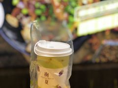 树夏绿葡萄-树夏(建设路店)