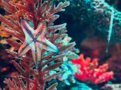 -沈阳海洋探索中心