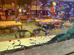 -大江户·温泉洗浴(浑南店)