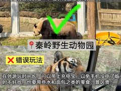 -老版火锅.12年西安排队王(沣峪口店)