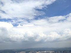 -长虫山生态公园风景林
