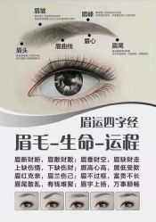 -西施无菌半永久纹绣眉眼影唇轻增发纹发际线