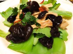 支竹捞水东芥-新兴·金羊座·粤菜点心(乐峰店)