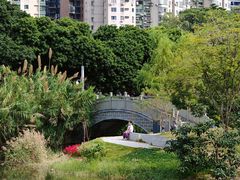 -四海公园(南山区)