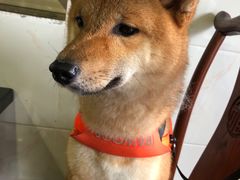 -老虎土菜馆·农家土菜