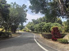 -福建鲤鱼洲酒店