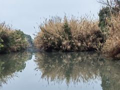 -沙家浜风景区