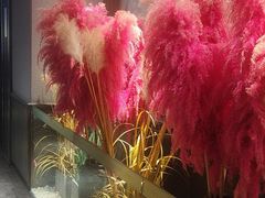 -蜀九香火锅(江油店)