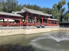 -尚庄度假村·庭台树下·户外烧烤·团建CS·轰趴营地(上庄水库店)