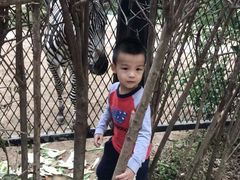 -无锡动物园·太湖欢乐园