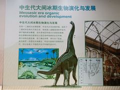 -中国第四纪冰川遗迹陈列馆